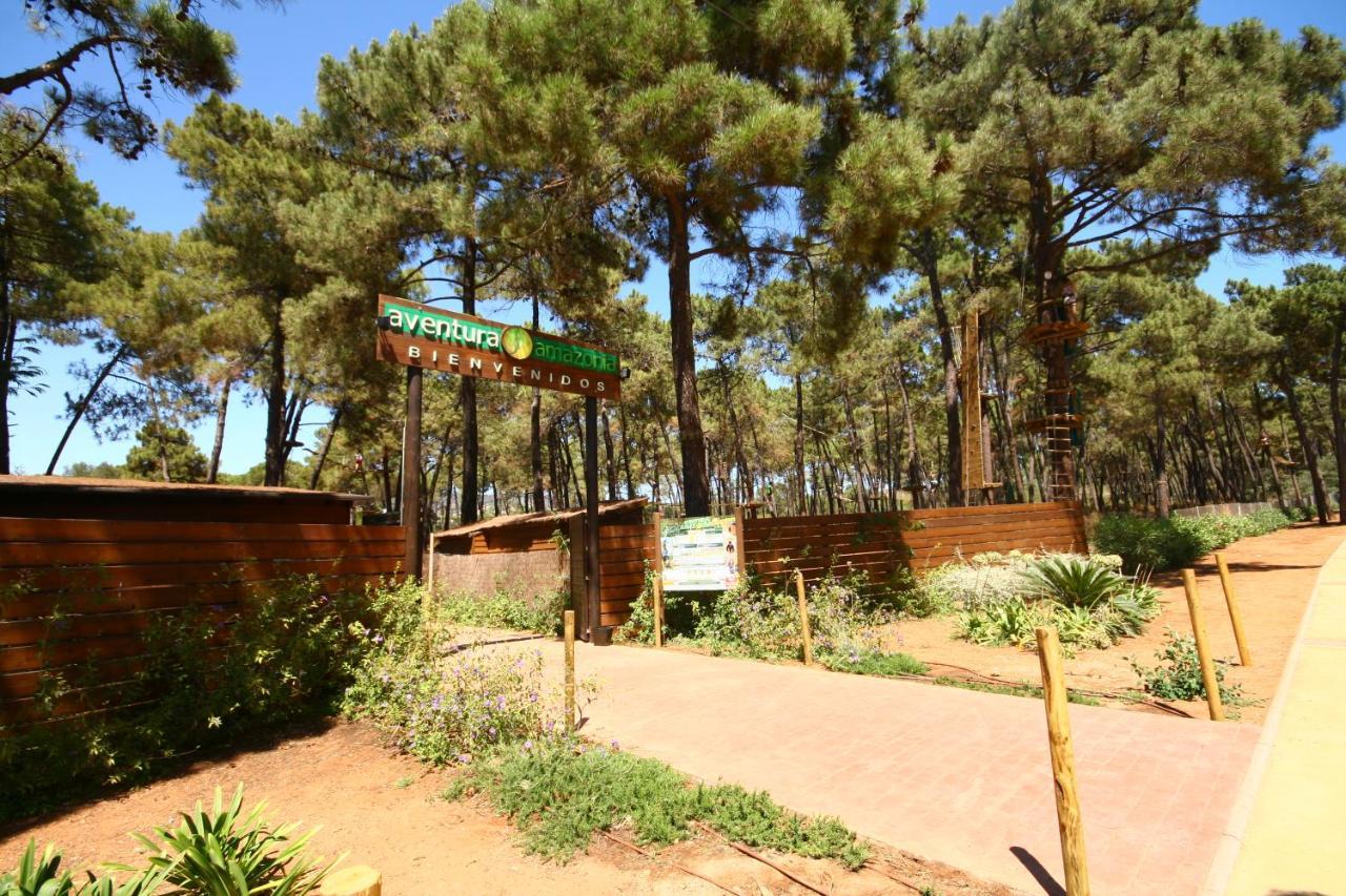 Ground Floor Apartment, Los Jardines De Santa Maria Elviria 马尔韦利亚 外观 照片